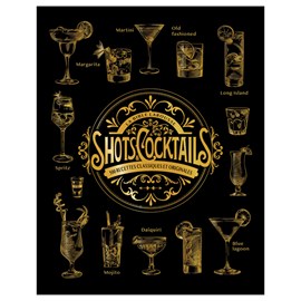 La bible Larousse des shots et cocktails