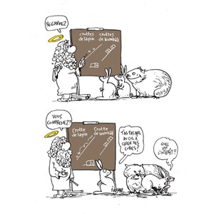 Dieu, Darwin, tout et n'importe quoi