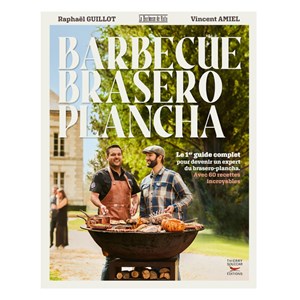 Barbecue brasero plancha