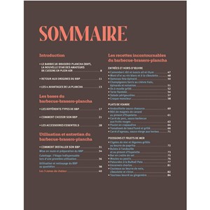 Barbecue brasero plancha