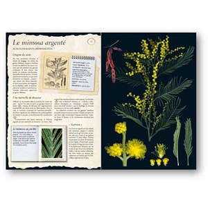 L'Herbier des plantes sauvages