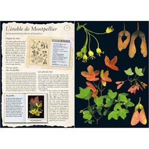 L'Herbier des plantes sauvages