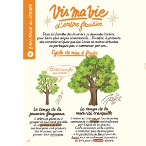 Faire pousser des fruits