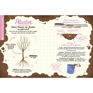 Faire pousser des fruits