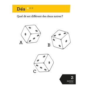 Calendrier jeux de logique en 365 jours
