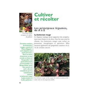 Le poireau préfère les fraises