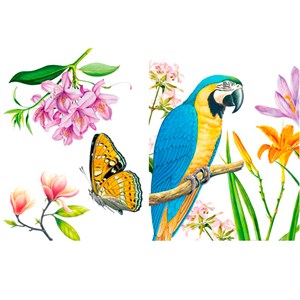 Coloriage Jolie promenade dans la nature