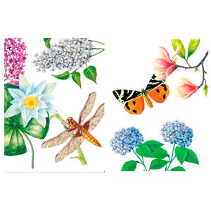 Coloriage Jolie promenade dans la nature