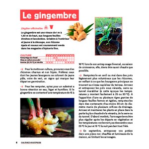 Faites pousser vos épices