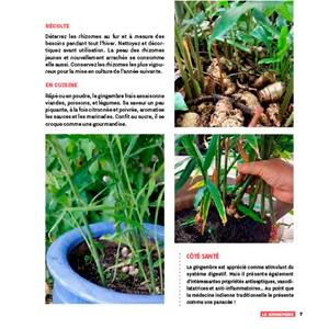 Faites pousser vos épices