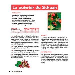 Faites pousser vos épices