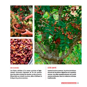 Faites pousser vos épices