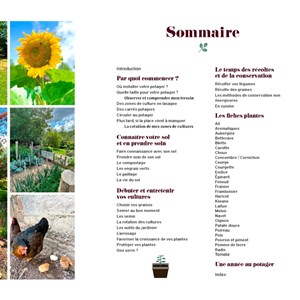 Potager, la bible pour débuter