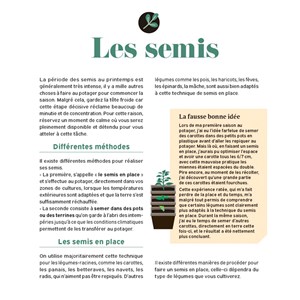 Potager, la bible pour débuter