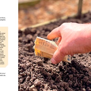 Potager, la bible pour débuter