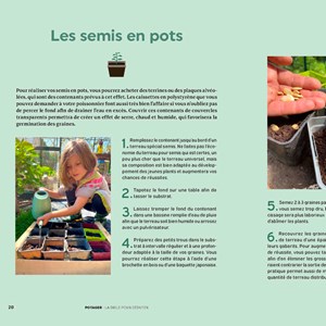 Potager, la bible pour débuter