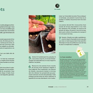 Potager, la bible pour débuter