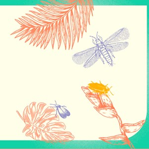 Adieu cochenilles et autres bestioles