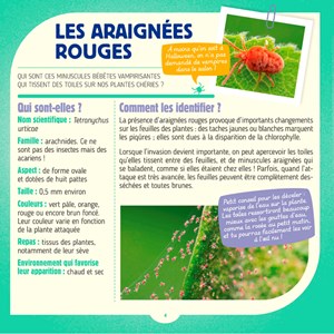 Adieu cochenilles et autres bestioles