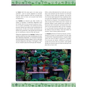 Guide pratique du Bonsaï