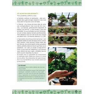 Guide pratique du Bonsaï