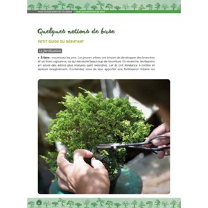 Guide pratique du Bonsaï