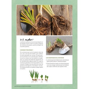 Jardiner pour pas un radis