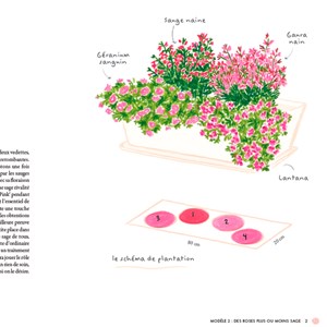 Un balcon fleuri toute l'année