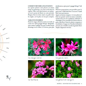 Un balcon fleuri toute l'année