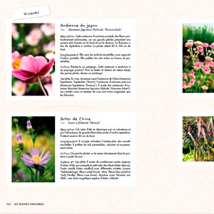 Un balcon fleuri toute l'année