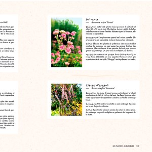 Un balcon fleuri toute l'année