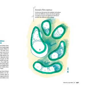 Créer son jardin du rêve à la plantation