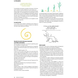 Bienvenue en syntropie