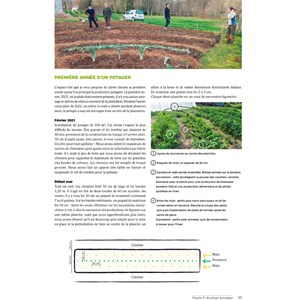 Bienvenue en syntropie