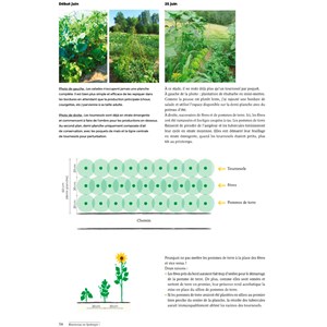 Bienvenue en syntropie