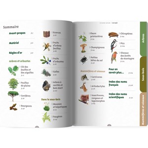 Le guide nature En forêt