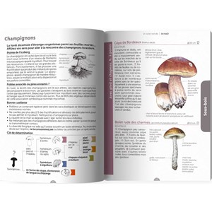 Le guide nature En forêt