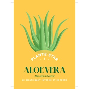 Coffret Mes cartes herboristerie