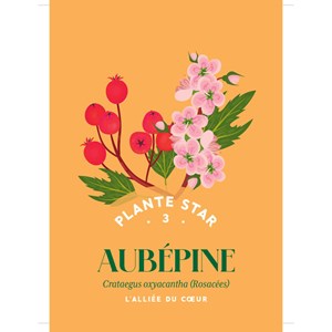 Coffret Mes cartes herboristerie