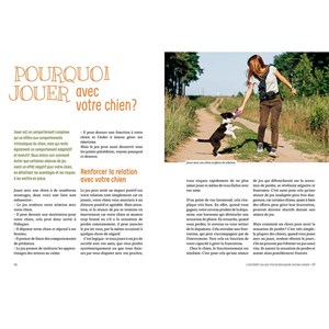 Éduquer son chien par le jeu