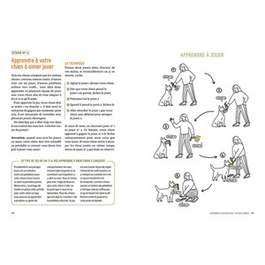 Éduquer son chien par le jeu
