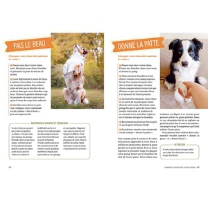 Éduquer son chien par le jeu