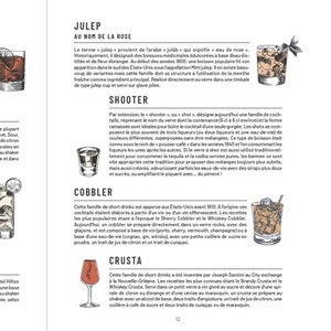 La bible Larousse des shots et cocktails