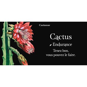 Mon oracle de poche Langage des fleurs