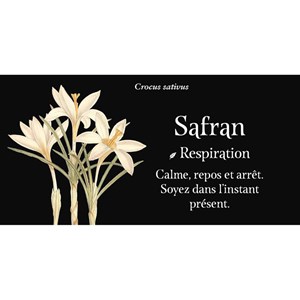 Mon oracle de poche Langage des fleurs