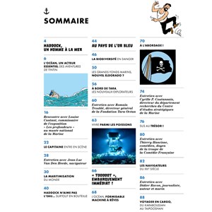 Haddock, un capitaine à l'abordage