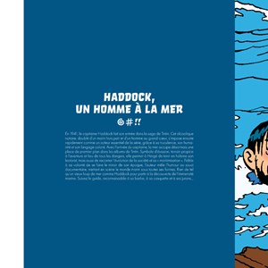 Haddock, un capitaine à l'abordage