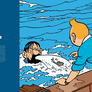 Haddock, un capitaine à l'abordage