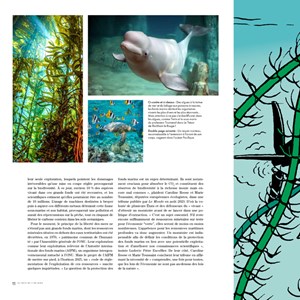 Haddock, un capitaine à l'abordage