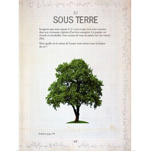 Le Grand Livre des énigmes Albert Einstein